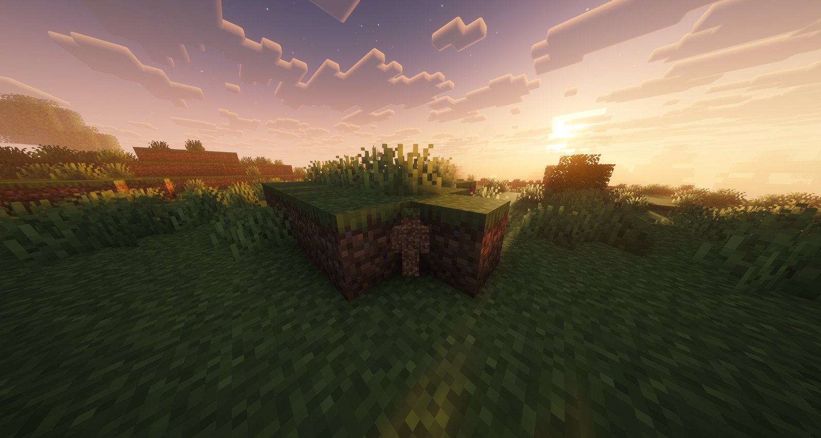 The scene with shaders