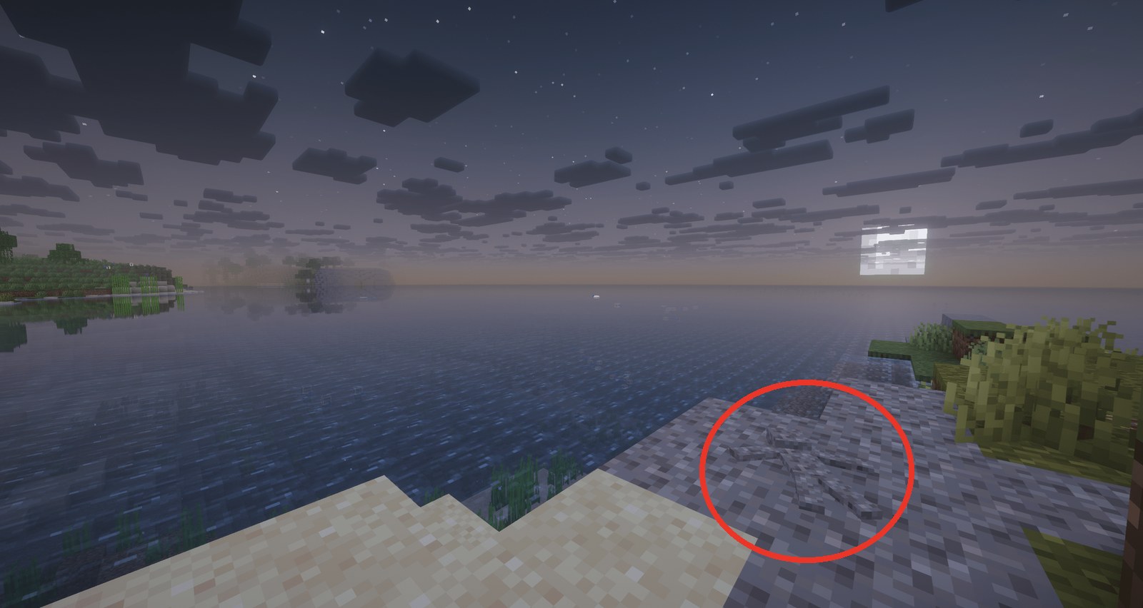 The hiding spot revealed, circled in red